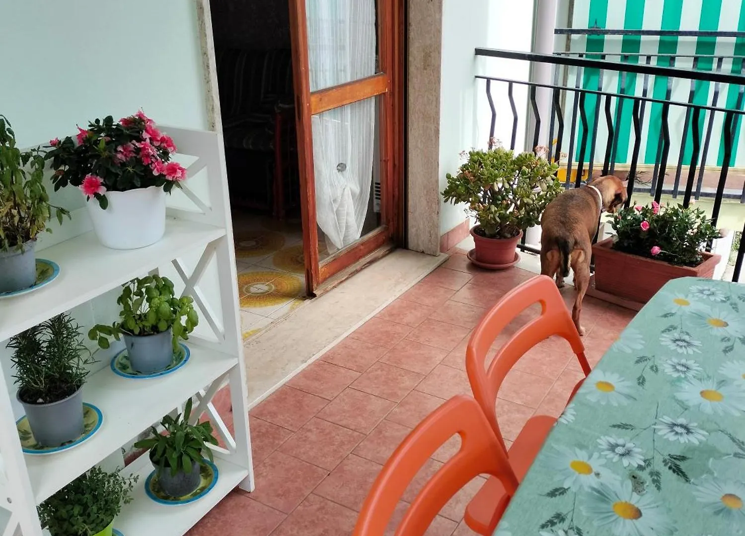 Apartment Yellow Submarine Freeparking Petfriendly Rapallo